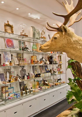 WORLD Beauty New Zealand